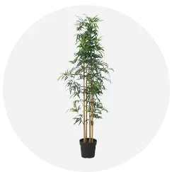 حديقة وجلسات