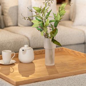 فازة بيضاء وودي