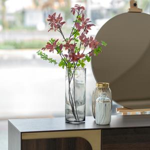 فازة طويلة وودي