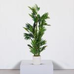 شجرة نخل 155 سم وودي