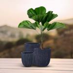 مركن أشجار مخطط وسط رمادي قاتم وودي