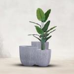 مركن أشجار مخطط صغير وودي