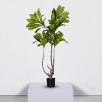 شجرة الياسمين 180 سم وودي