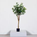 شجرة ديكور 160 سم وودي