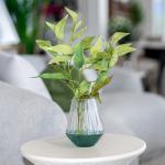 فازة مموجة خضراء وودي