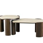 جيولما طاولة قهوة ترافرتين 100×60 سم وودي