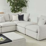 هزال بوف رمادي وودي