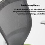 سيوجين كرسي إداري متعدد الألوان