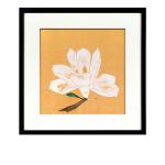 لوحة آلوس وودي