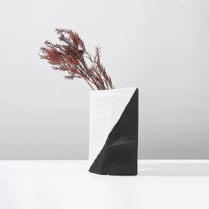 فازة أبيض وأسود كبيرة وودي