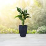 مركن أشجار مخطط كبير رمادي قاتم وودي