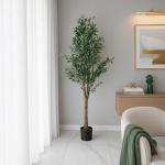 شجرة زيتون 1.80 سم وودي