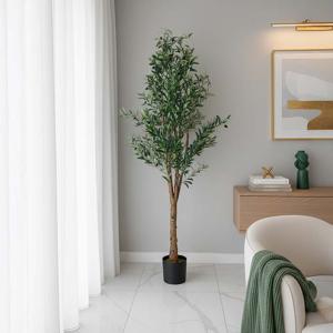 شجرة زيتون 1.80 سم وودي