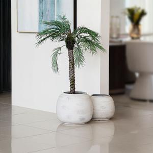 مركن أشجار فخار رصاصي كبير وودي