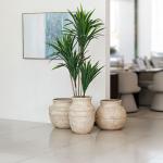 مركن أشجار فخار بيج طويل وودي