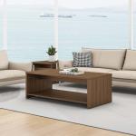 نيو نيرا طاولة قهوة 120 سم وودي