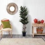 شجرة الزيتون