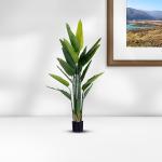 شجرة موز استرليزيا 180 سم وودي