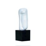 تحفة نصف الوجه وودي