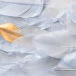 لوحة جدارية ريش وودي